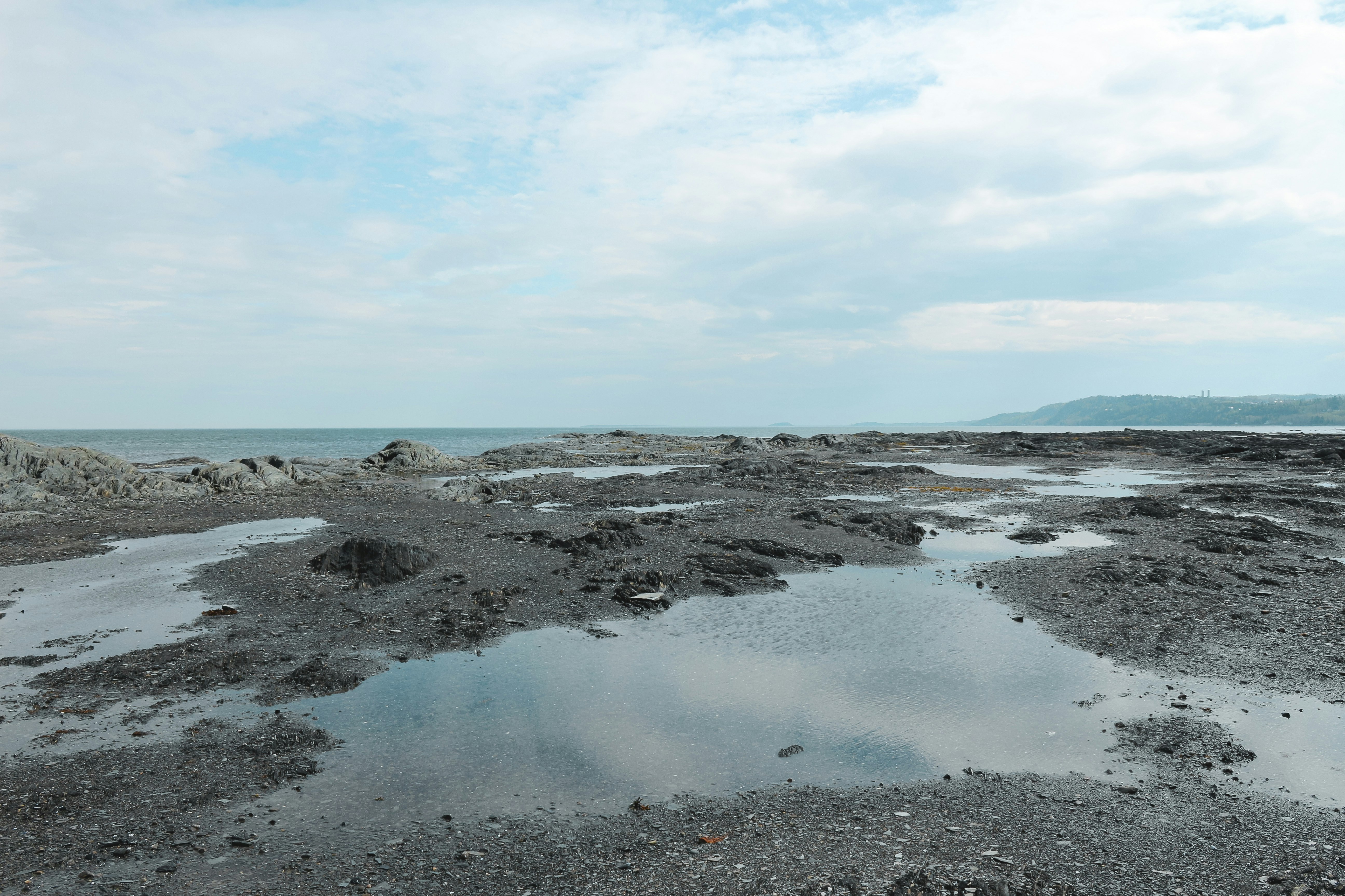 gray rocky shore under white cloudy sky during daytime